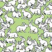 Bunny Pattern by CSA Images
