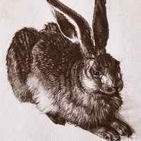 Young Hare by Albrecht Durer