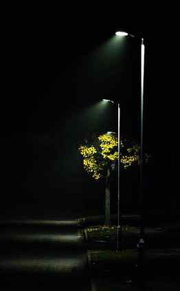 : streetlight, mist, road light, scene, autumn, lighting the way HD phone wallpaper