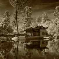 Chinese Botanical Garden in California with Koi Fish in Sepia Tone by Randall Nyhof