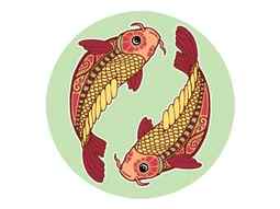 https://cf.ltkcdn.net/feng-shui/images/slide/248918-850x638-pair-swimming-koi-fish.jpg