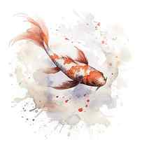 A beautiful Japanese koi fish in traditional sumi-e watercolour by Jane Rix