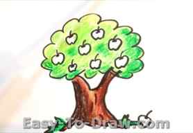 How to draw apple tree 05