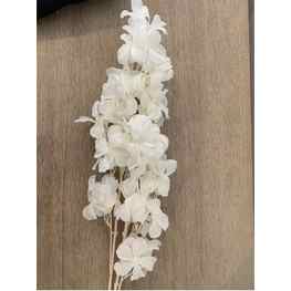 85cm White Budget Sakura (Cherry Blossom) Branch