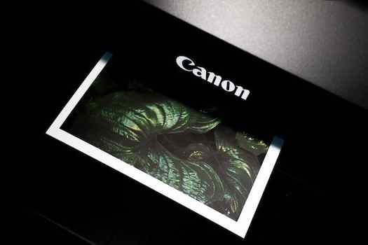 Printed enlarged photo coming out of a Canon printer