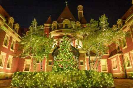 A 50-foot, LED-lit Christmas tree stands in front of the Busch family home at Grant