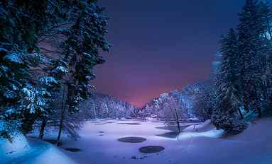 green pine tree, snow, landscape, forest, lake, night, winter HD wallpaper