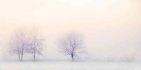 snow covered bare trees, winter landscape, nature, snowy, zing HD wallpaper