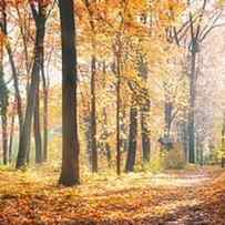 Amazing Nature Panorama Of A Gorgeous by Levente Bodo