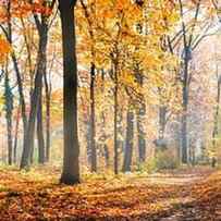 Amazing Nature Panorama Of A Gorgeous by Levente Bodo