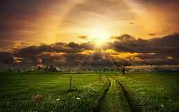 Grass, fields, trees, clouds, sun rays 1920x1200, sun rays through clouds HD wallpaper