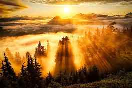 landscape, Sun Rays, Forest, Mountain, Clouds, sun rays through clouds HD wallpaper