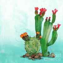 Cactus II by Paul Brent