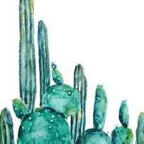 cactus watercolor 1 by Color Color