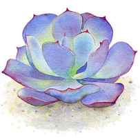 Blue Sky Succulent by Laura Nikiel