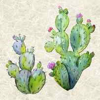 Water Color Prickly Pear Cactus Adobe Background by Elaine Plesser
