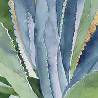 Agave 2 by Eunice Olson