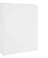 Amazon Basics Stretched Canvas For Painting, 5 Pack, White, 20