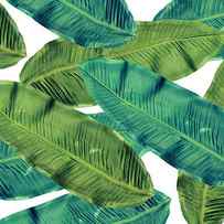  Tropical Leaves 7 by Mark Ashkenazi