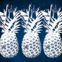 Indigo and White Pineapples by Linda Woods