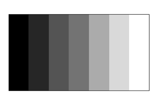 Grayscale Light Value Scale