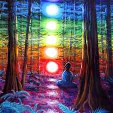 Chakra Meditation in the Redwoods by Laura Iverson