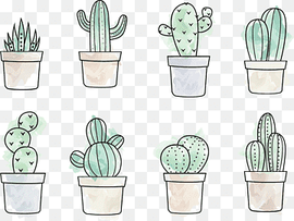 potted cactus plants s, Cactaceae Drawing Painting, Cactus, watercolor Painting, color, happy Birthday Vector Images png thumbnail