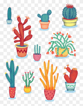 cactus illustrations, Cactaceae Succulent plant Drawing Illustration, Potted cactus, watercolor Painting, poster, hot Pot png thumbnail