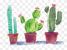 Cactaceae Poster, Watercolor cactus, three green cactus plants illustration, watercolor Painting, watercolor Leaves, painted png thumbnail