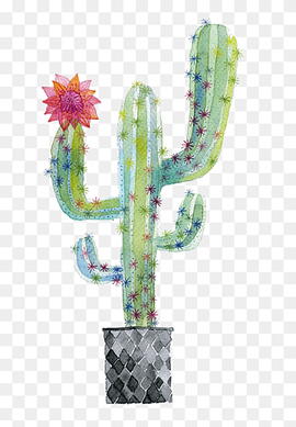 green cactus painting, Cactaceae Watercolor painting Succulent plant Illustration, cactus, cactus, flower, cartoon png thumbnail