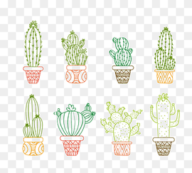 eight cactus plant illustratin, Drawing Cactaceae Succulent plant Illustration, cactus, pencil, happy Birthday Vector Images, grass png thumbnail