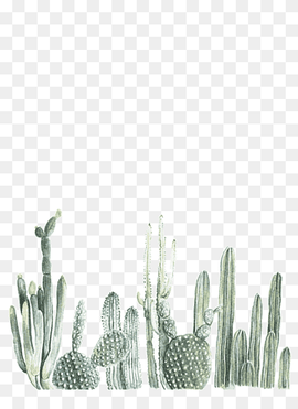 green cacti, Cactaceae Watercolor painting Printmaking Illustration, cactus, painted, hand, grass png thumbnail