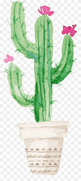 cactus illustration, Cactaceae Succulent plant Watercolor painting Printmaking, Sen Department aesthetic cactus, painted, hand, poster png thumbnail