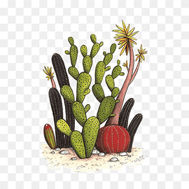 assorted-color cactus plant, Cactaceae Drawing Watercolor painting Succulent plant Illustration, cactus, cactus, flower, cartoon png thumbnail