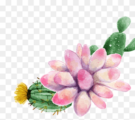 pink cactus flower illustration, Watercolor painting Succulent plant, cactus, flower Arranging, artificial Flower, cactaceae png thumbnail