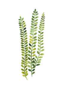 Wall Art - Painting - Green fern watercolor minimalist painting by Joanna Szmerdt