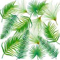 Tropical Leaves and Ferns by Jan Matson