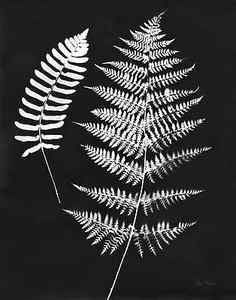 Wall Art - Painting - Nature By The Lake Ferns V Black Crop by Piper Rhue