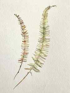 Wall Art - Painting - Fall Fern by Luisa Millicent