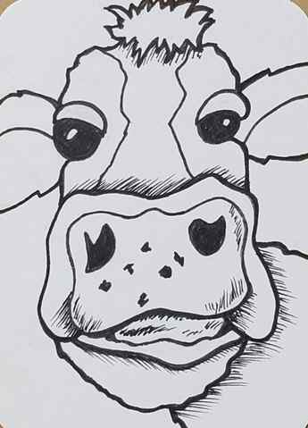 Cow-Outline