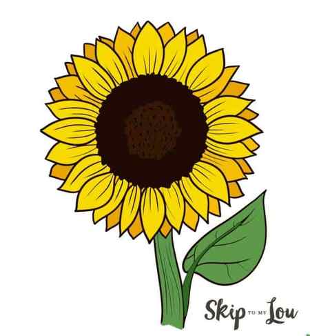 colored sunflower drawing