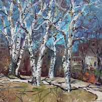 Birch trees next door by Ylli Haruni