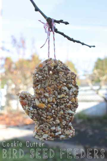 cookie cutter bird seed feeders