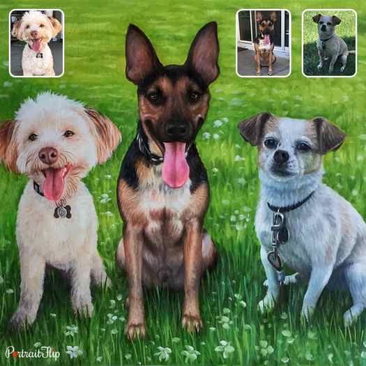 Compilation picture of three dogs placed next to each other on a field of grass that is converted into pet portraits