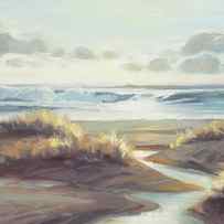 Low Tide by Steve Henderson