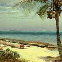 Tropical Coast by Albert Bierstadt