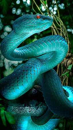 Blue snake, 3d, animal, drawings, poison, HD phone wallpaper