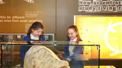 Two school children in a gallery with display case in front of them