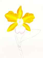 How-to-draw-an-orchid-5