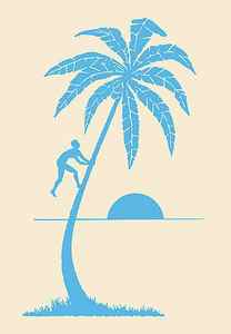 Wall Art - Drawing - Man Climbing Palm Tree by CSA Images